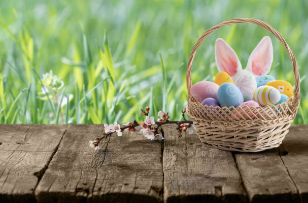 Affordable Easter Basket Stuffer Ideas for Toddlers